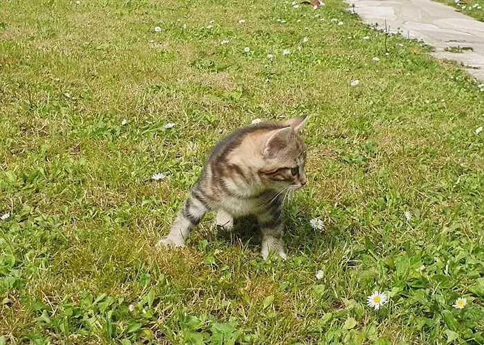 84 Eme Rue Vitry-sur-Seine